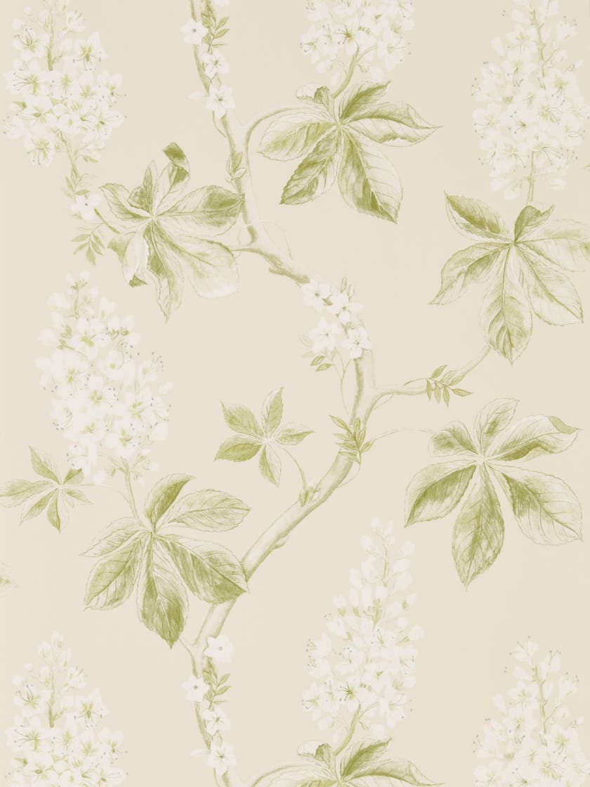 Sanderson - Chestnut Tree Lemon/Lettu Country Woodland Wallcove