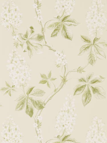 Sanderson - Chestnut Tree Lemon/Lettu Country Woodland Wallcove