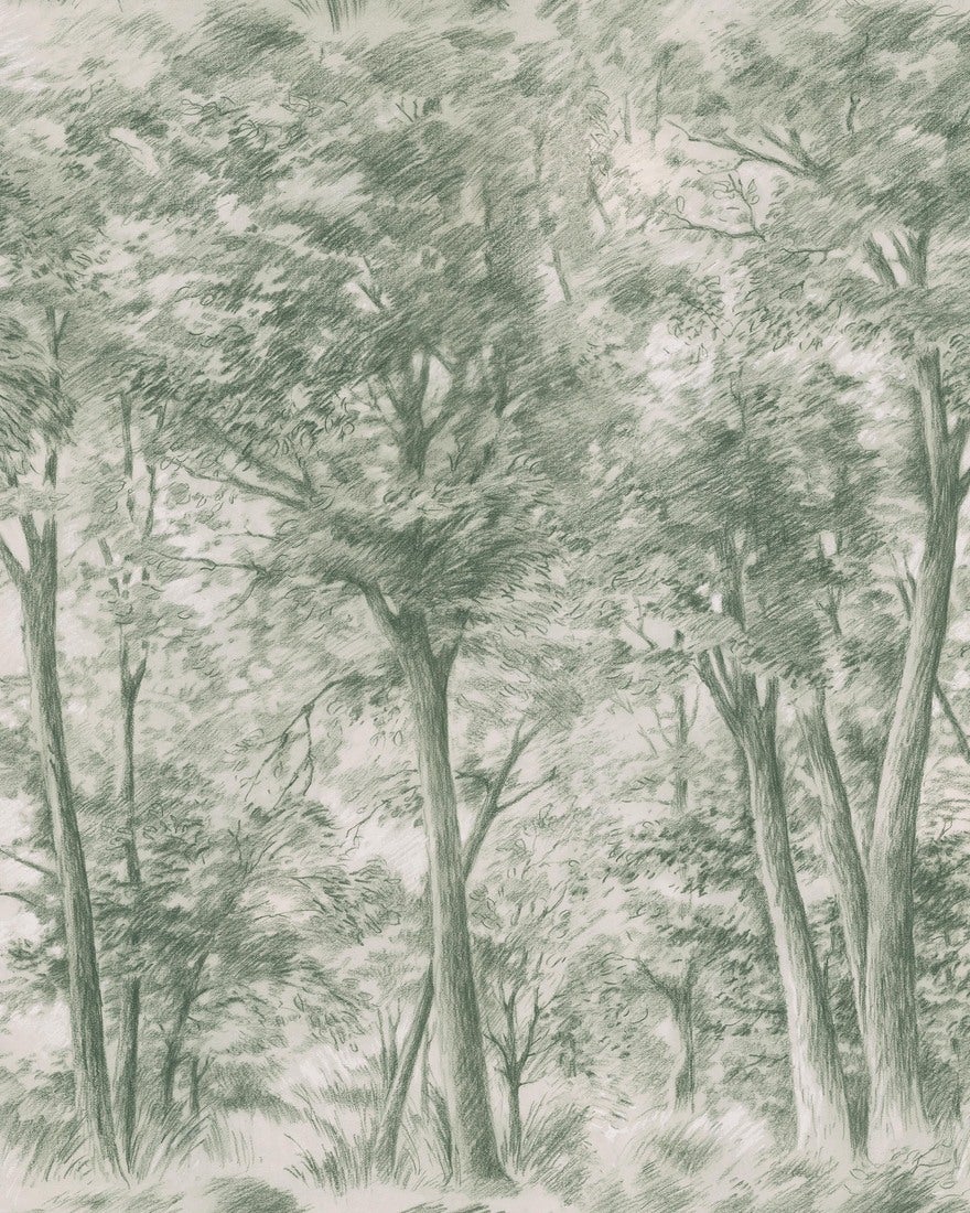 Boråstapeter - Sketch of Trees