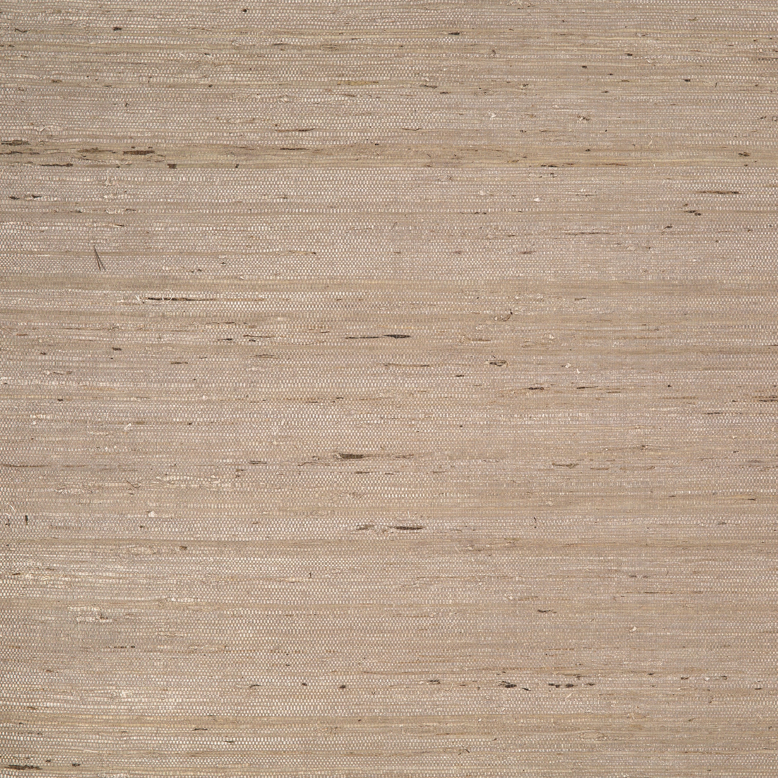 Colefax and Fowler - Belize Taupe