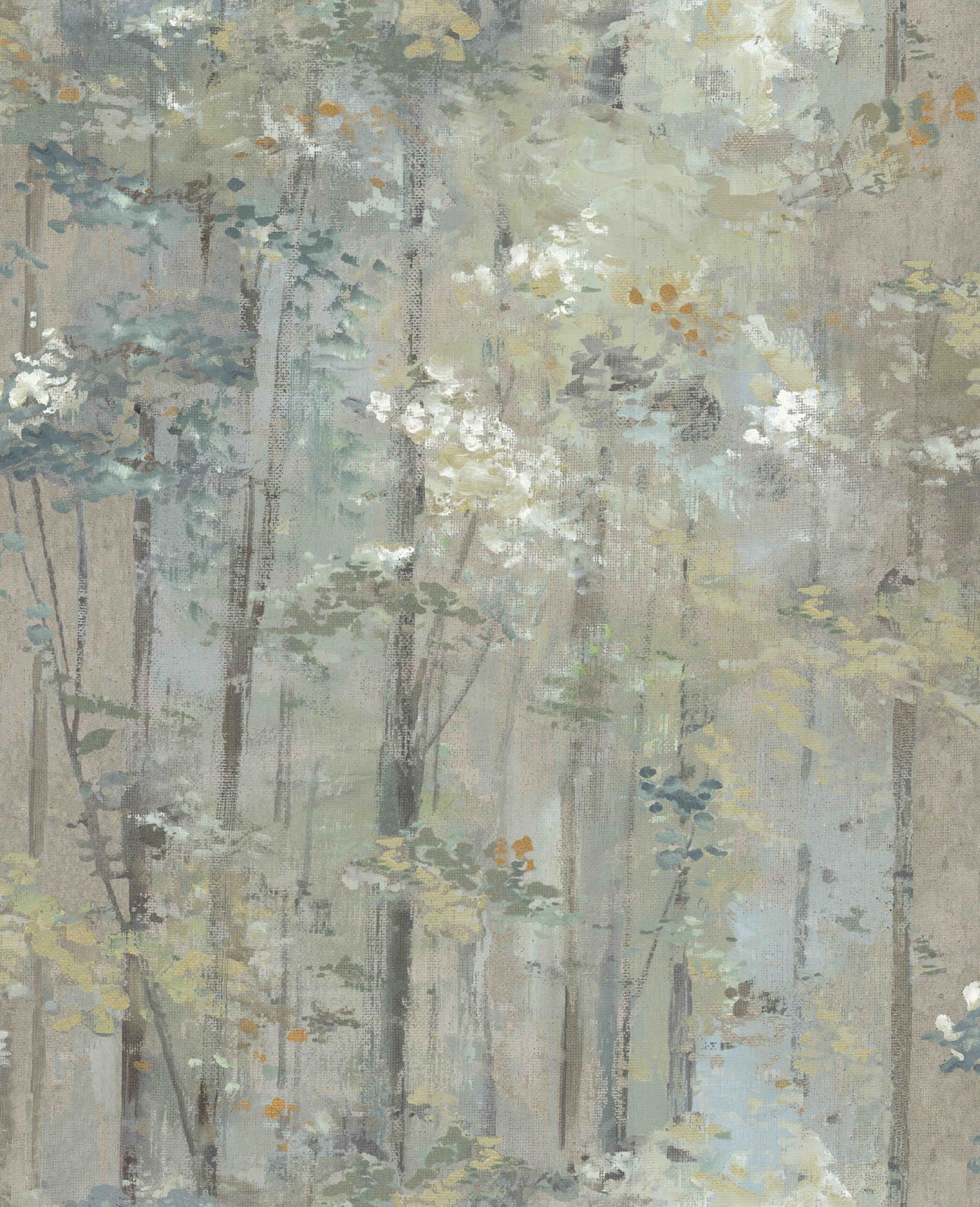 Carma - Glade Moss  NW Aurora