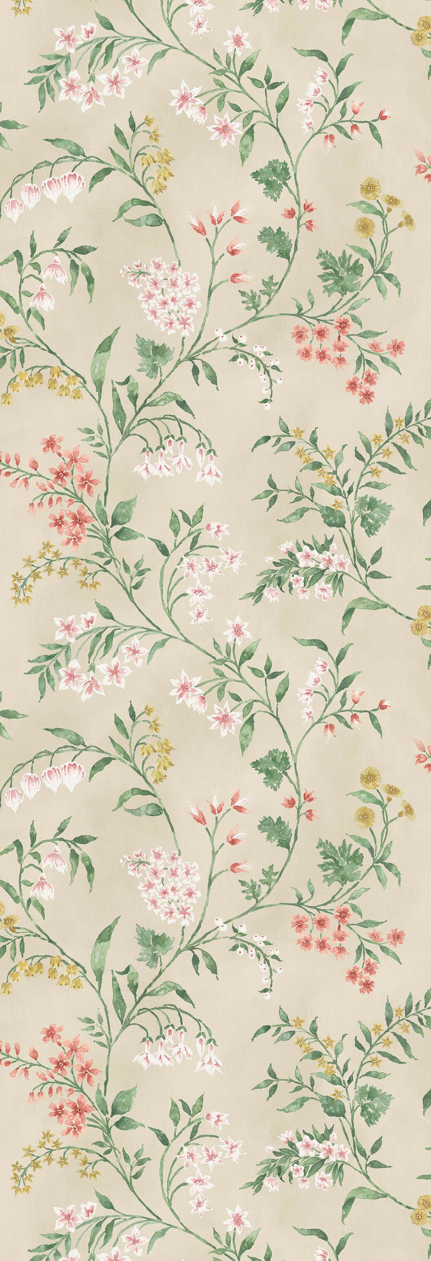 Nina Campbell - Almora Nc Signature Almora Coral