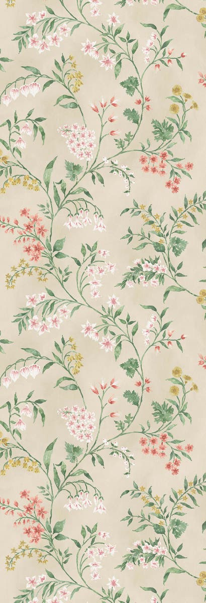 Nina Campbell - Almora Nc Signature Almora Coral