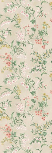 Nina Campbell - Almora Nc Signature Almora Coral