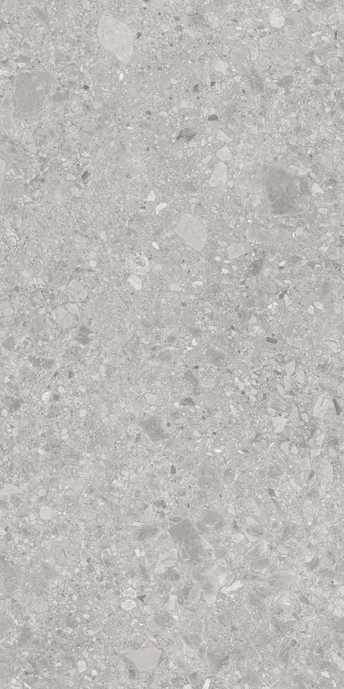 Ceppo Design Grey 60x120 såg