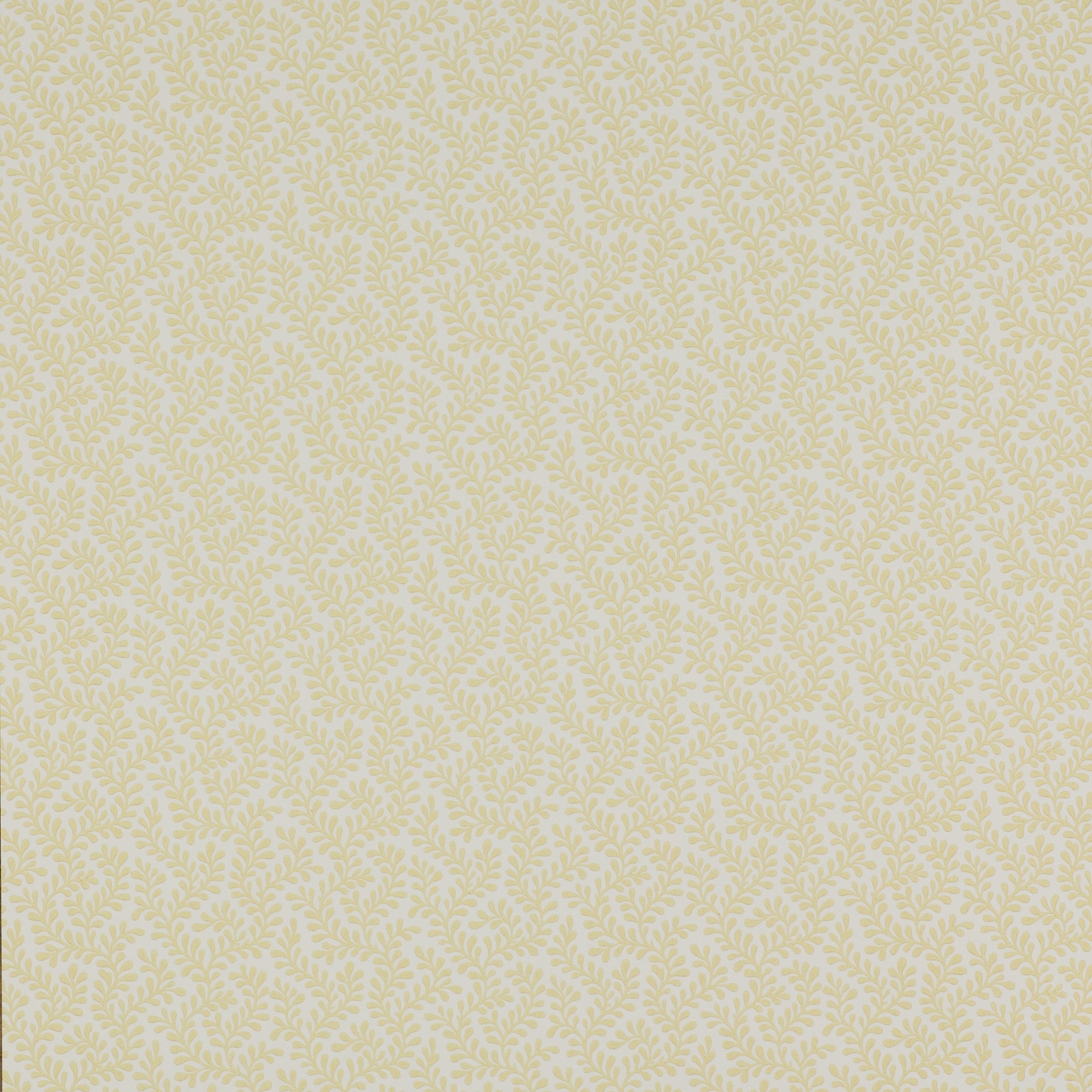 Colefax and Fowler - Rushmere Yellow