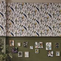 Birds Sinfonia Histoires Naturelles