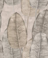 Rubber Tree