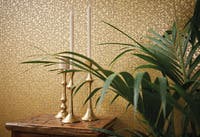 Metropolitan Stories II