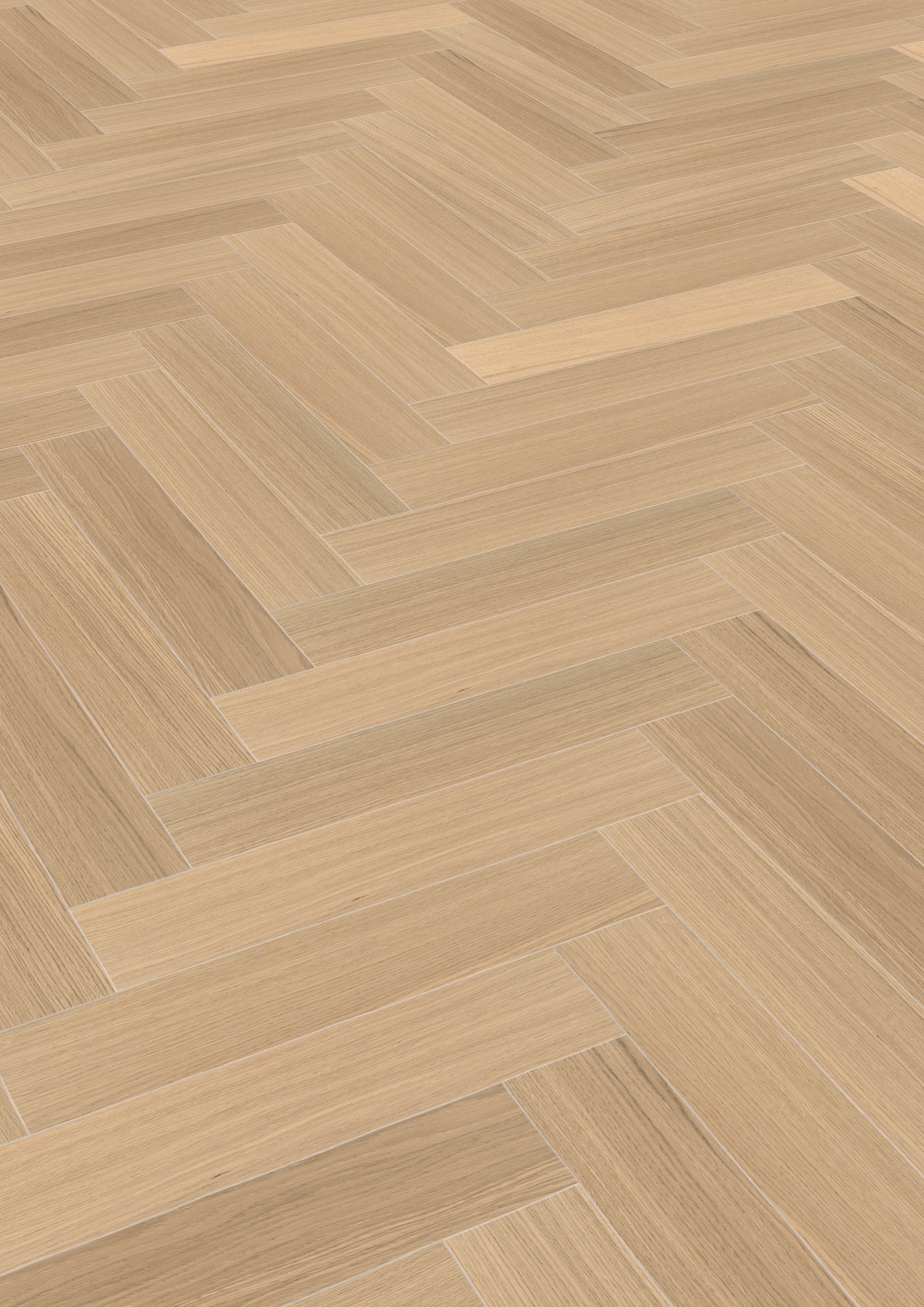 Maxwood Jazz - Ek Raw