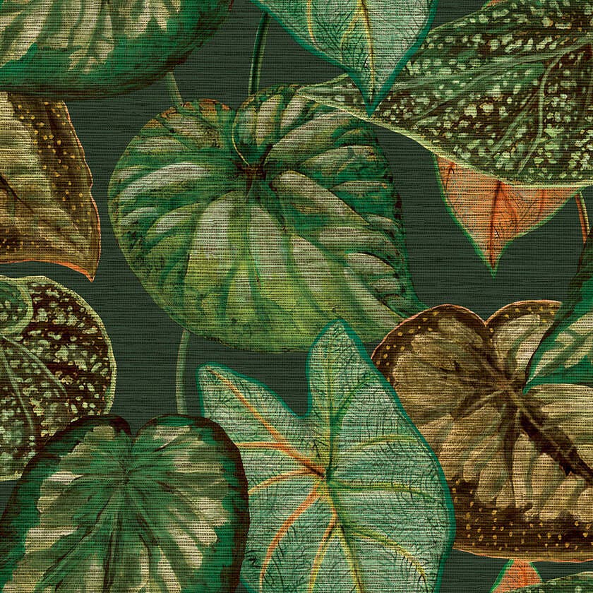 Tropical Leaves