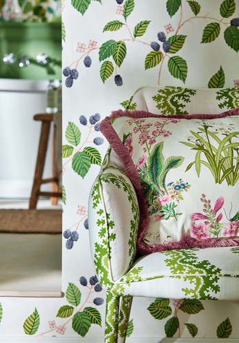 Sanderson - Rubus Blackberry Arboretum Wallpapers