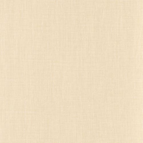 Casamance - Shinok Coquille Le Lin 3