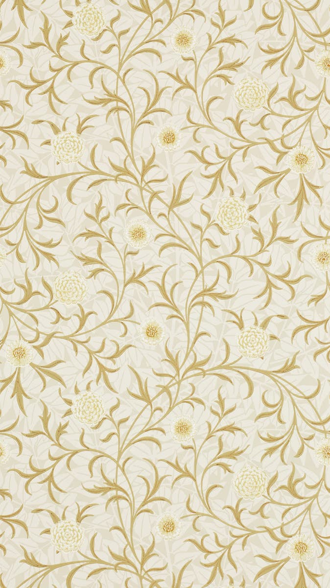 Morris & Co - Scroll Vellum/Biscuit Morris and Friends Wallpa