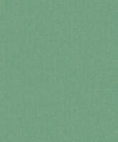 SO COLOR 4 UNI VERT SO COLOR 4