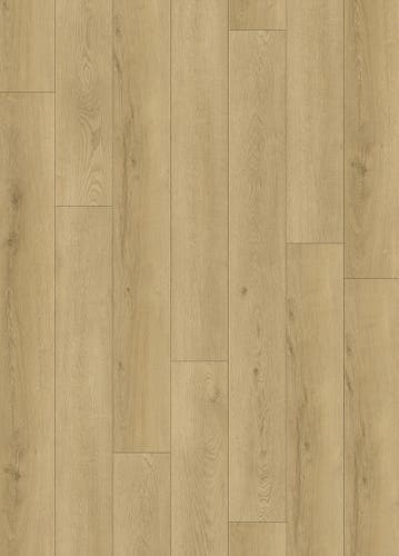 Softstep SYNQ Grand Cru