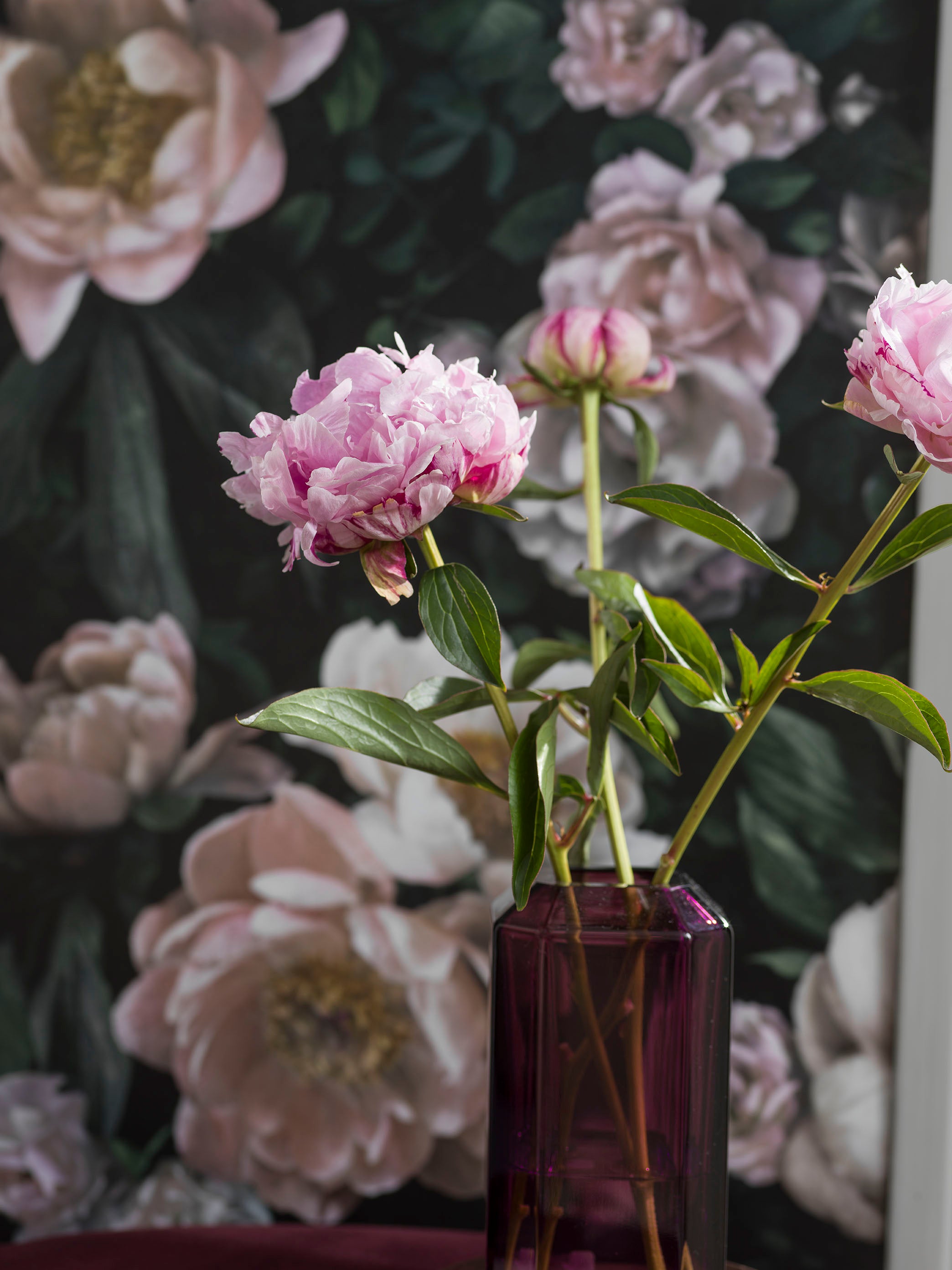 Boråstapeter - New Dawn Rose