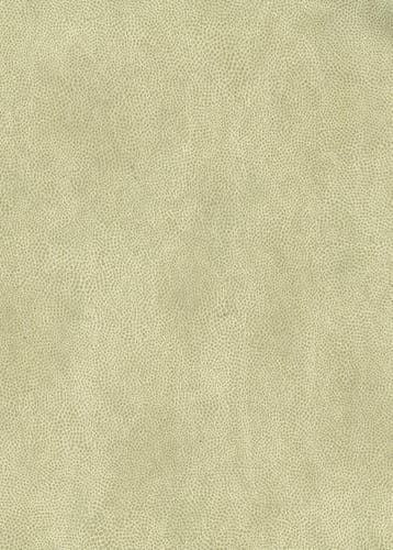 Osborne & Little - Mako