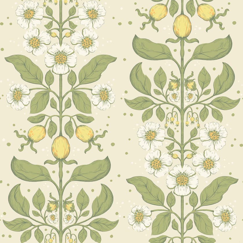 Midbec Tapeter - Rosa