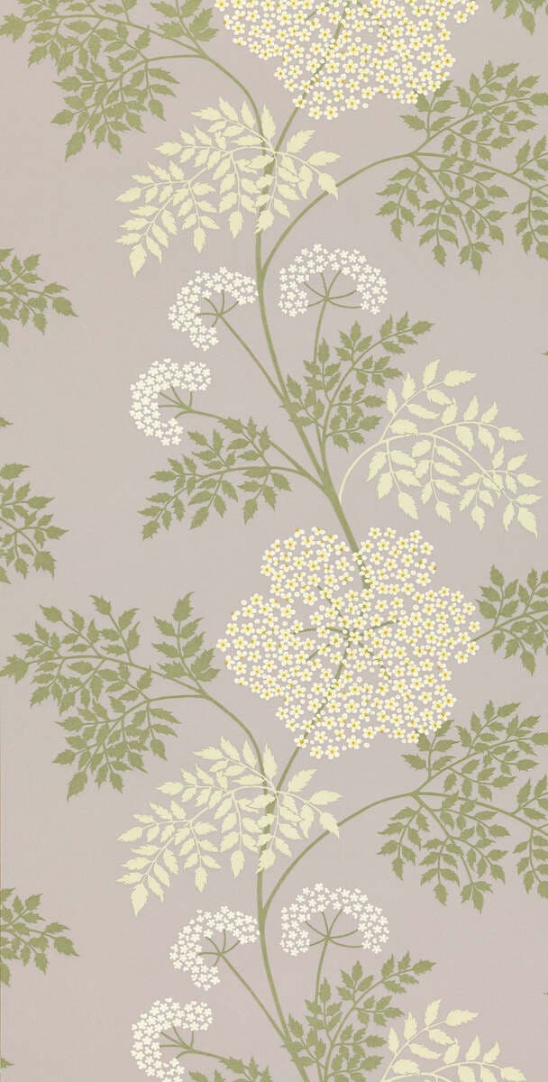 Sanderson - Cowparsley Amethyst Sanderson One Sixty Wallp