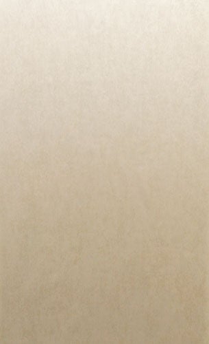 Midbec Tapeter - Palazzo tapet