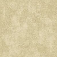 STONE SABLE SO COLOR 5