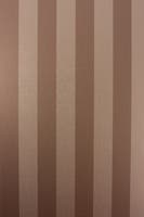 Stripe Copper