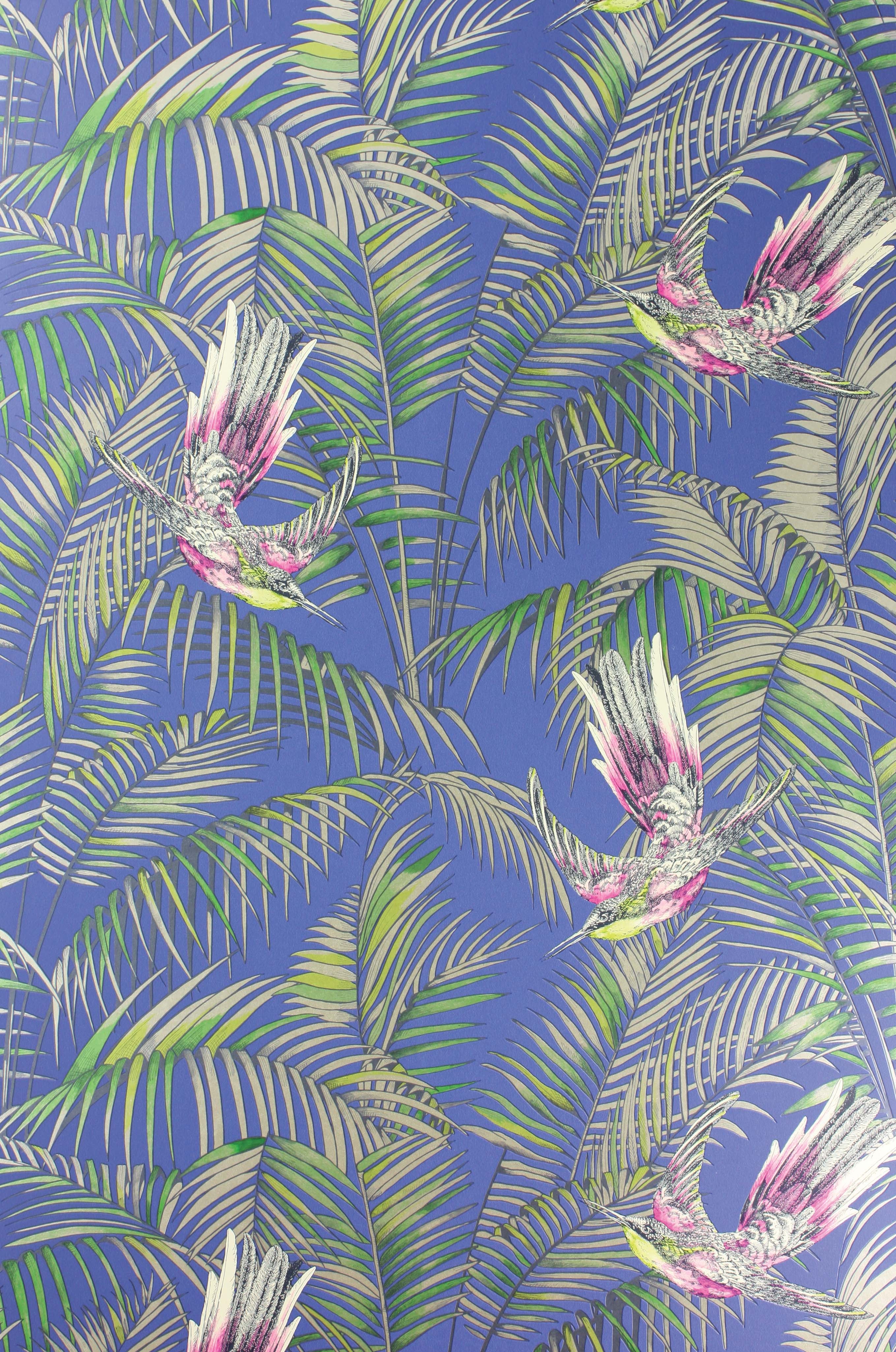 SUNBIRD ELECTRIC BLUE 