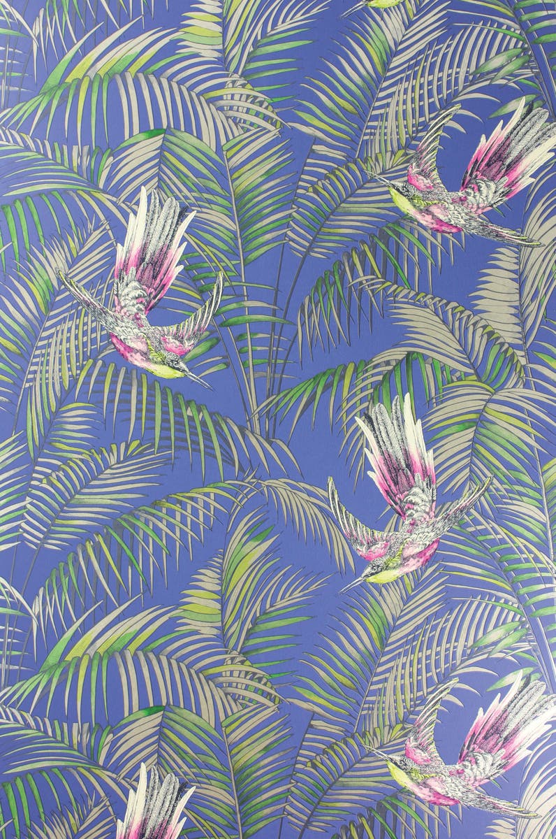 SUNBIRD ELECTRIC BLUE