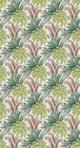 Osborne & Little - Paloma Empyrea Paloma Apple Gree