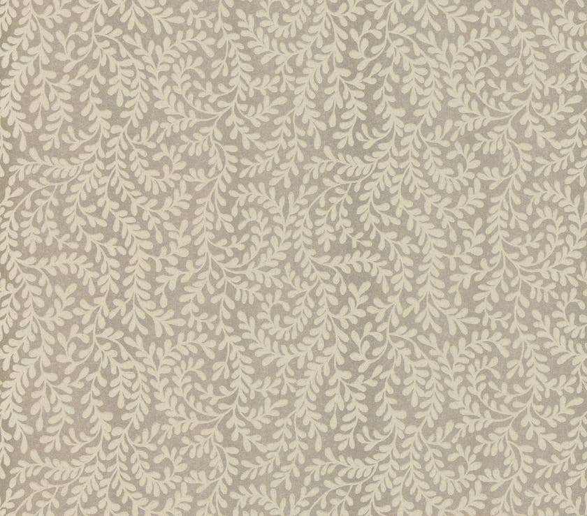 Carma - Audley, NW Rosemore