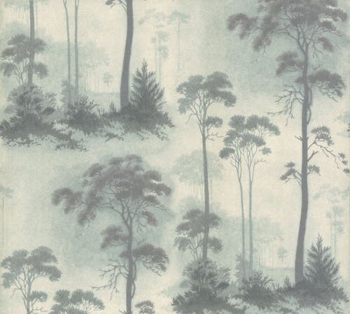 Carma - Prior Park, NW Rosemore