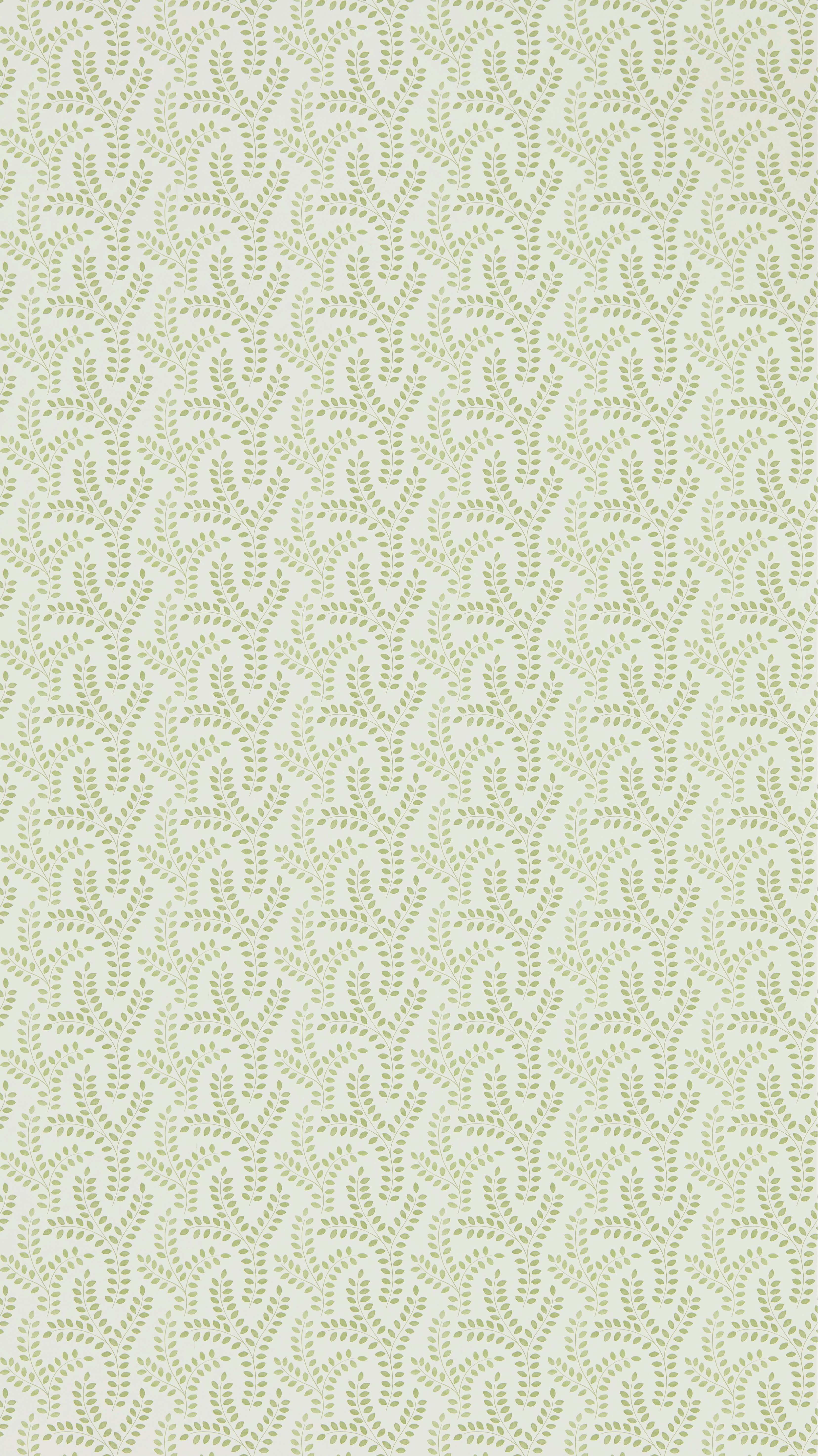 Sanderson - Yarton Moss Littlemore Wallpapers