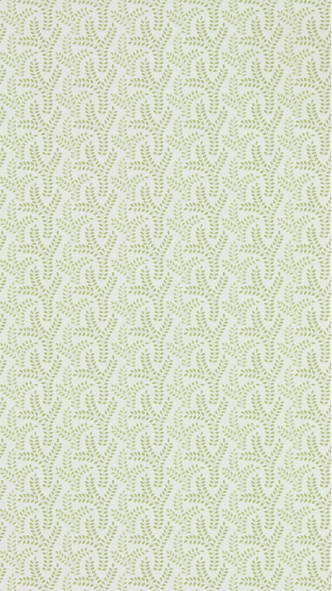 Sanderson - Yarton Moss Littlemore Wallpapers