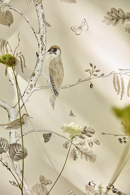 Woodland Chorus Sepia/Neu Country Woodland Wallcove