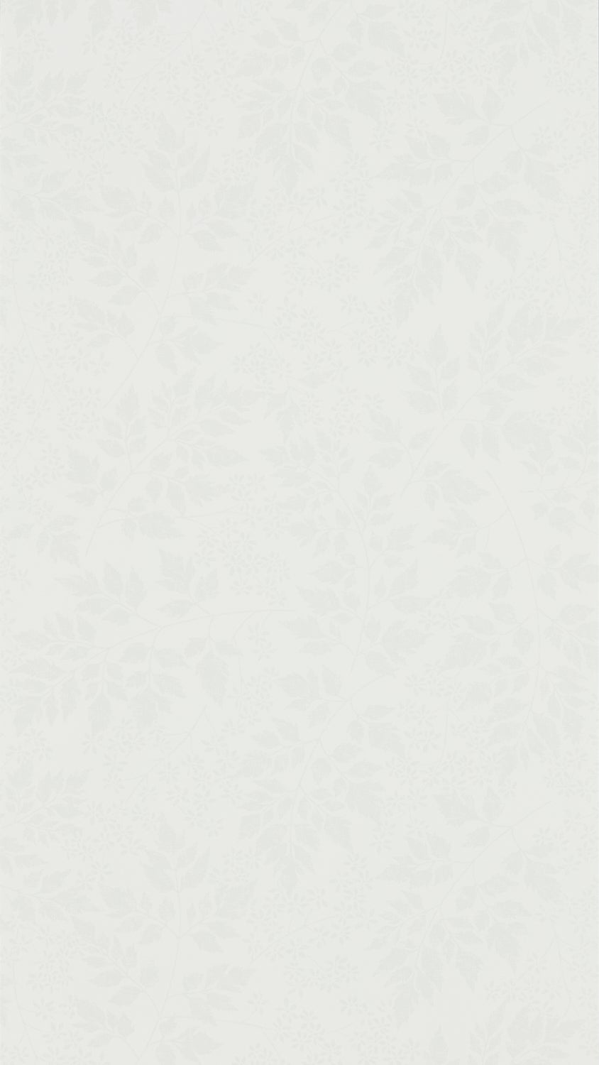 Sanderson - Spring Leaves Dove Country Woodland Wallcove