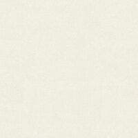 EMPREINTE BLANC GIVRE EMPREINTE