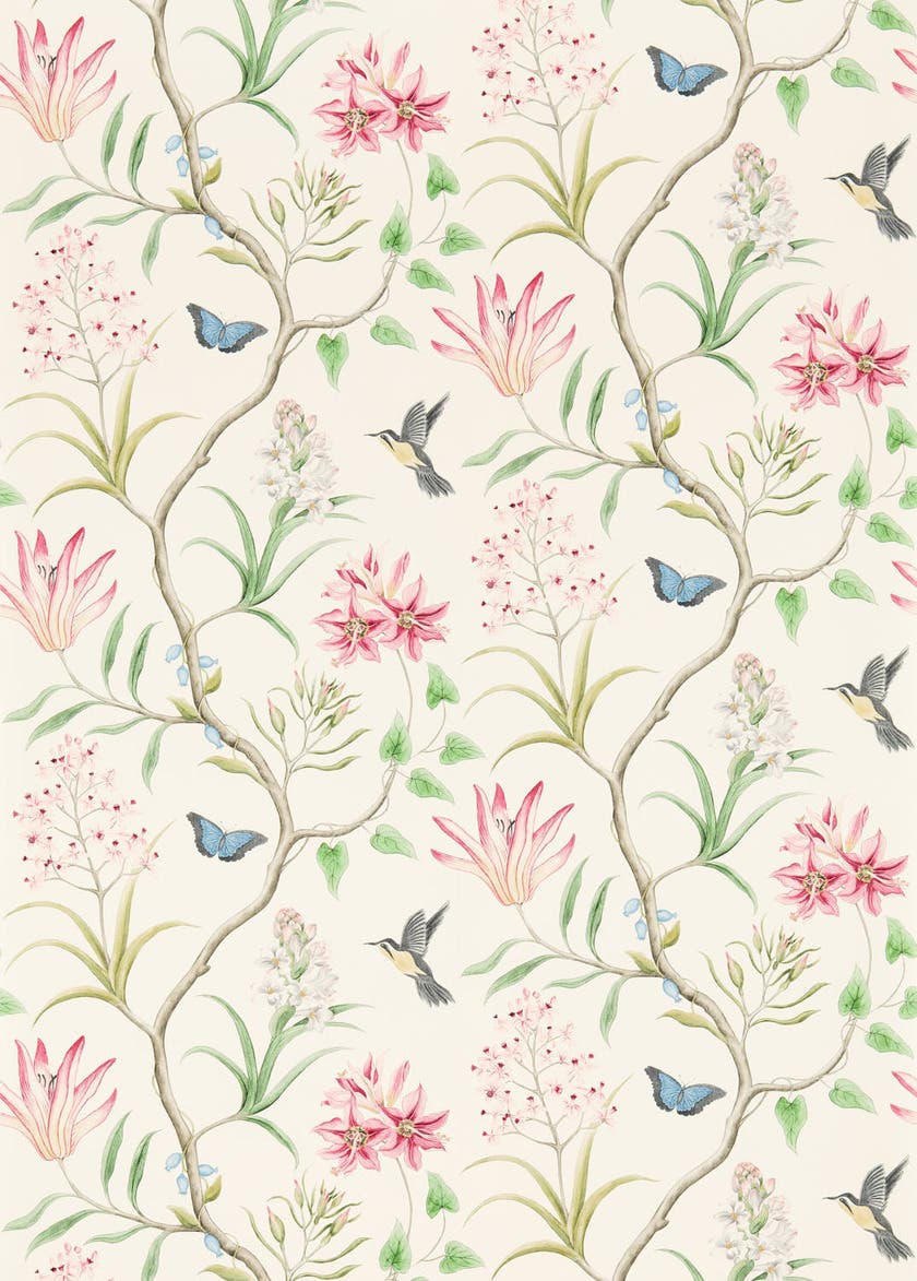 Clementine Chintz Sanderson One Sixty Wallp