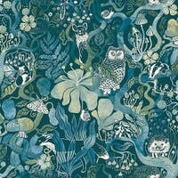 Fairyland Magic Woods