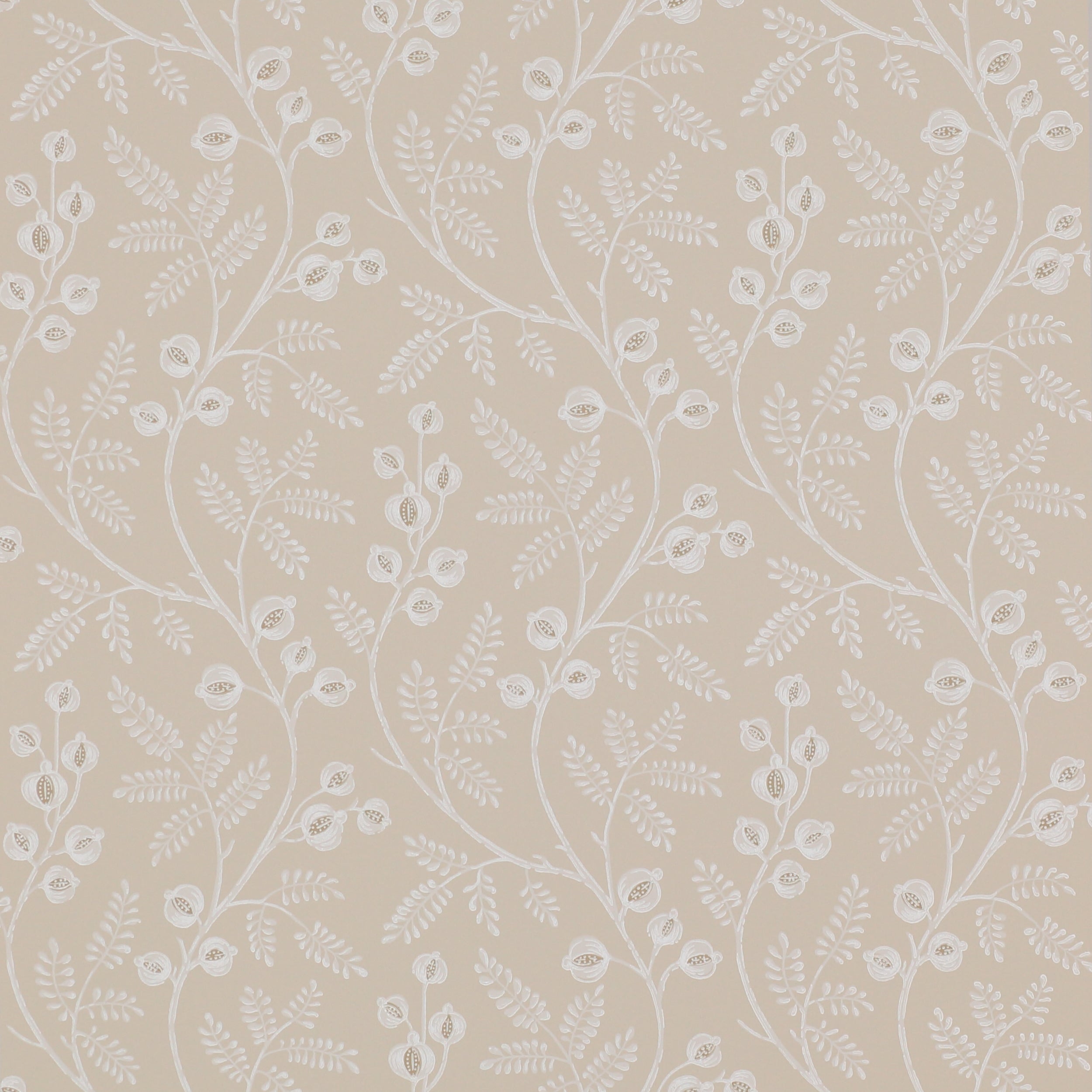 Colefax and Fowler - Morrigan Cream