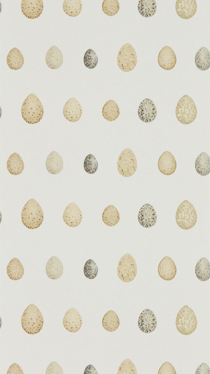 Sanderson - Nest Egg Corn Graphite Embleton Bay Wallpapers