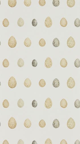 Sanderson - Nest Egg Corn Graphite Embleton Bay Wallpapers