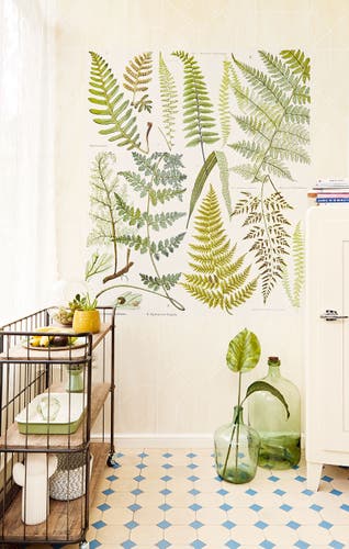 Eijffinger Intrade - Geonature