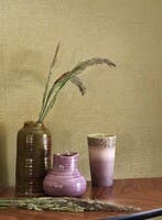 ECUME OLIVE SENTIER DES DUNES