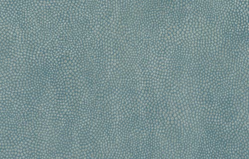 Osborne & Little - Mako Teal/Gilver