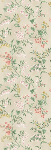 Nina Campbell - Almora Nc Signature Almora Coral