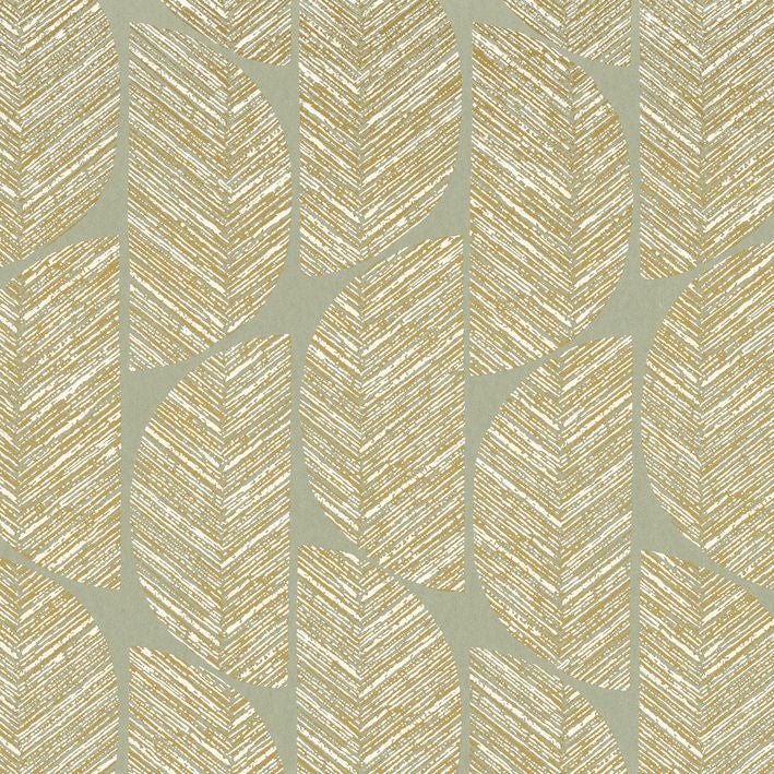 Casamance - Abelia Amande Orphee