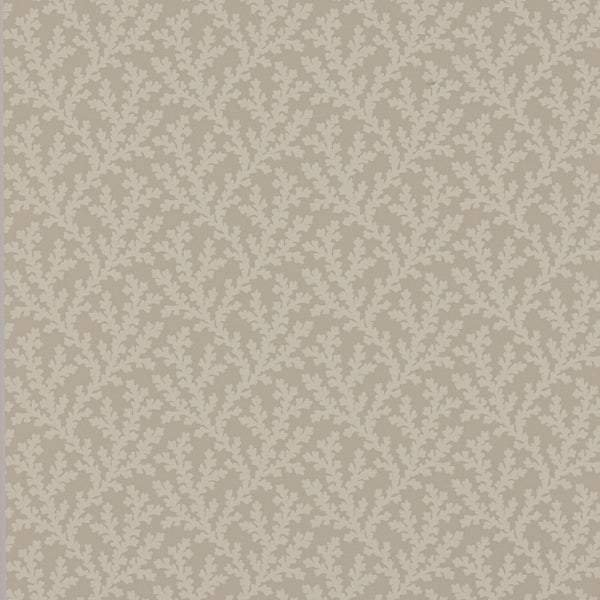 Colefax and Fowler - Sea Coral Beige