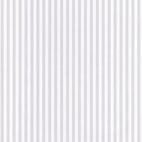RAYURES GRIS LES RAYURES