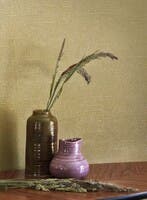 ECUME OLIVE SENTIER DES DUNES